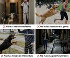 CanStop: Evita ladridos, mordeduras, ataques, peleas de perros y corrige malas conductas al instante sin causarles dolor