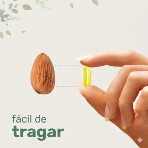 Berberina Premium: Controla tus niveles de azúcar y mejora tu metabolismo