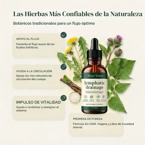 Elimina los líquidos de tu cuerpo que hacen que se vea hinchado, desintoxica tus riñones y páncreas de forma natural y efectiva