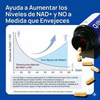 NAD+ Selerb Booster - Recupera tu potencia masculina en la cama y cuida tu próstata sin efectos secundarios