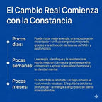 NAD+ Selerb Booster - Recupera tu potencia masculina en la cama y cuida tu próstata sin efectos secundarios