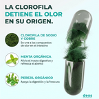 Controla el mal olor corporal con una fórmula de clorofilina de acción interna, sin cremas, sin sprays y con una rutina tan simple como tomar 1 cápsula diaria.