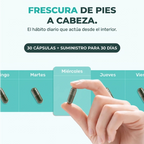 Controla el mal olor corporal con una fórmula de clorofilina de acción interna, sin cremas, sin sprays y con una rutina tan simple como tomar 1 cápsula diaria.