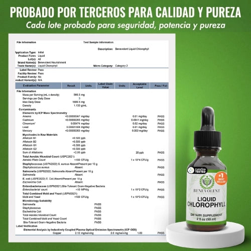 Si después de comer quedas inflado y pesado, incorpora clorofilina y menta en segundos: unas gotas en agua para sentir tu rutina más ligera.