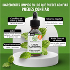 Si después de comer quedas inflado y pesado, incorpora clorofilina y menta en segundos: unas gotas en agua para sentir tu rutina más ligera.