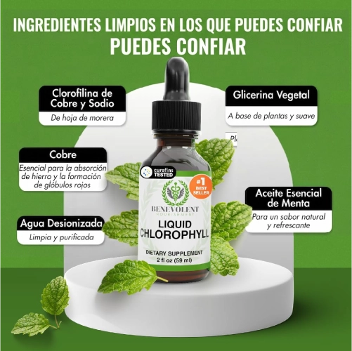 Si después de comer quedas inflado y pesado, incorpora clorofilina y menta en segundos: unas gotas en agua para sentir tu rutina más ligera.